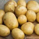 История селекции картофеля Голубизна