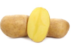 Картофель Лилея: описание, выращивание, отзывы
