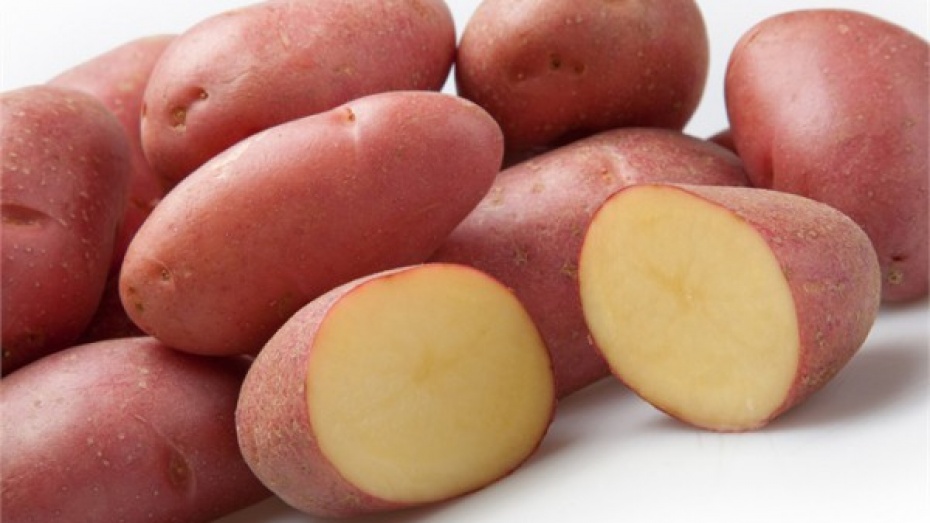 История происхождения сорта картофеля Беллароза