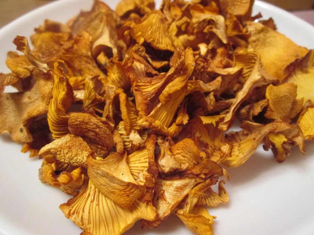  Сухие грибы лисички