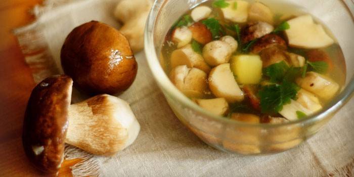 Тонкости варки супа из свежих белых грибов
