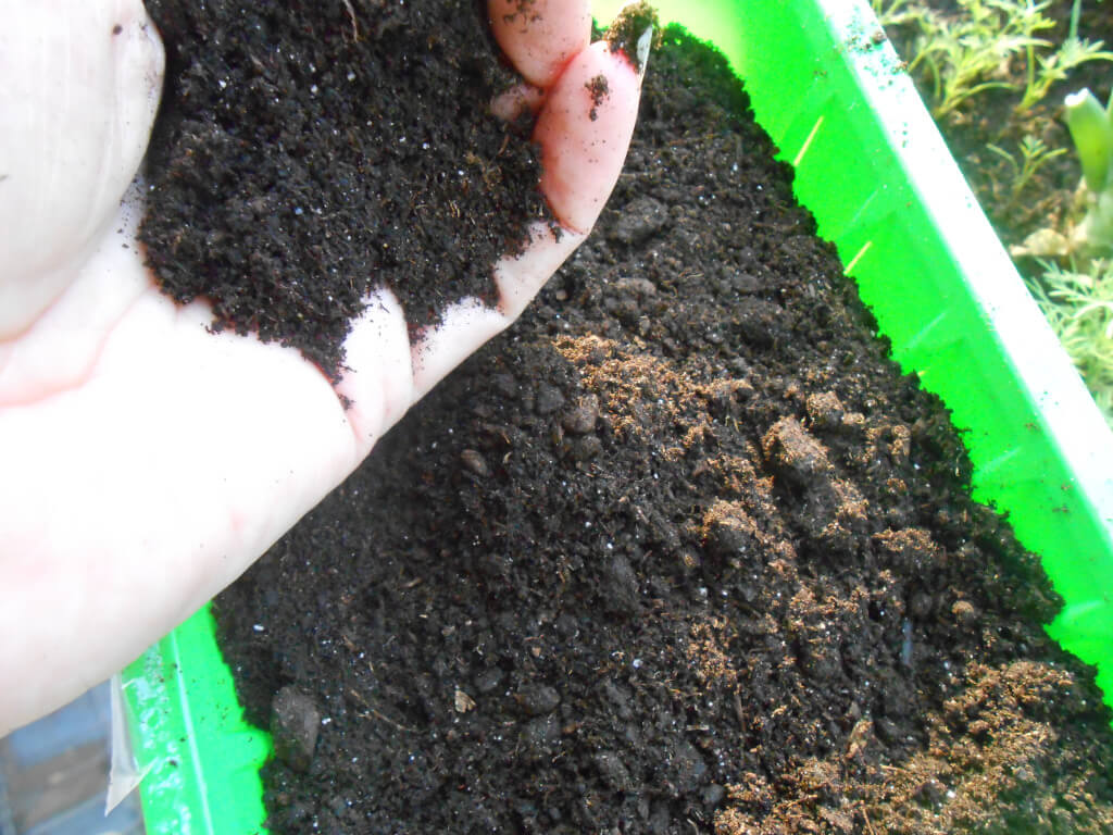 Почва для посадки Альстремерия